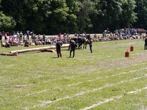 IMG_20260523_125132